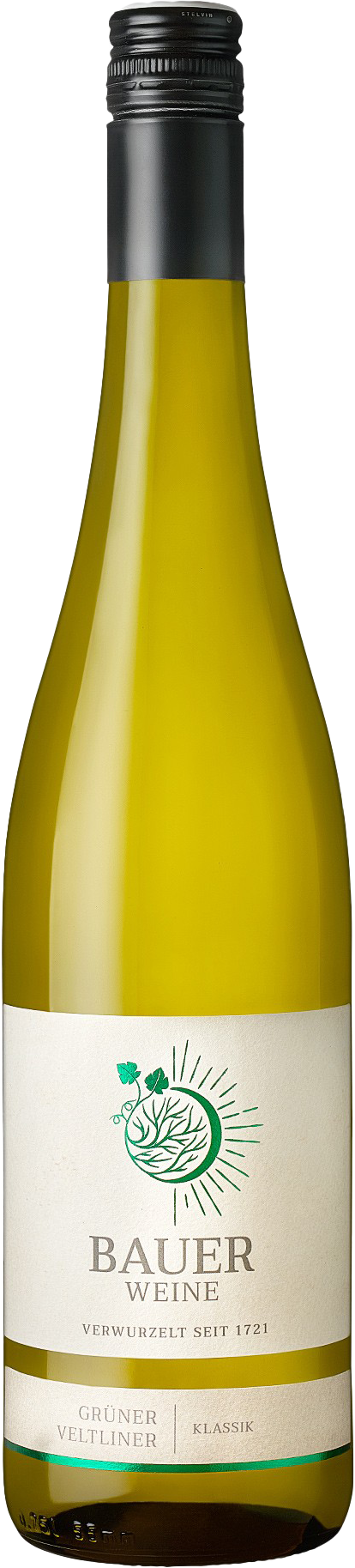 Weingut Norbert Bauer Bauer Grüner Veltliner Klassik 2023 Bio