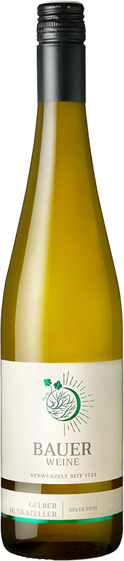 Weingut Norbert Bauer Bauer Gelber Muskateller 2023 Selektion Bio