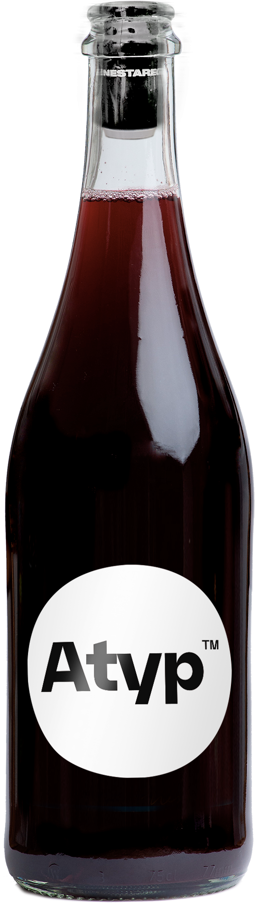 Milan Nestarec Milan Nestarec Atyp 2 2021 - pro Registrované