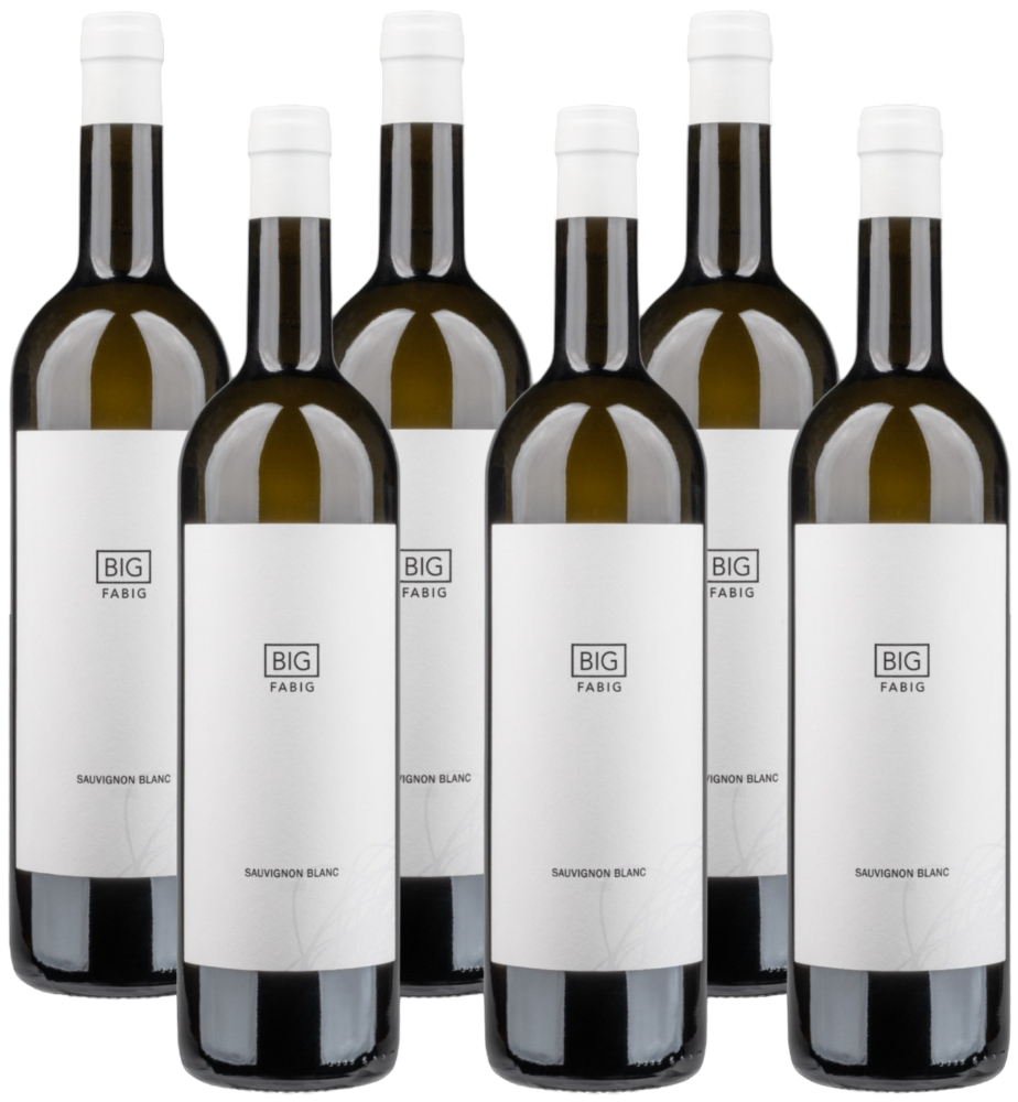 Fabig Fabig BIG Sauvignon Collection 2017-2023