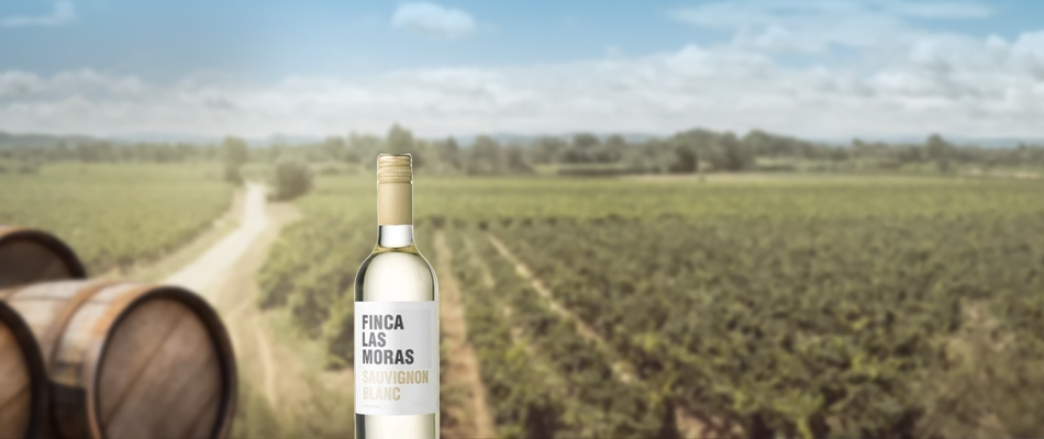 Dny Sauvignonu