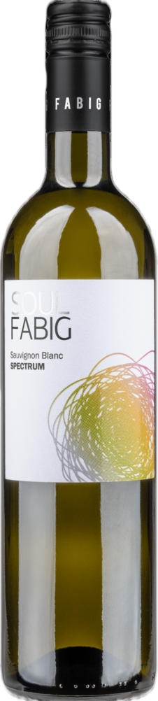 Fabig Fabig SOUL Sauvignon Blanc Spectrum 2021