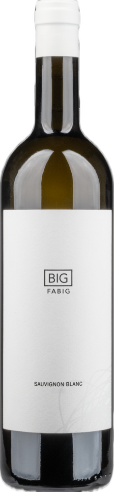 Fabig Fabig BIG Sauvignon Blanc 2023