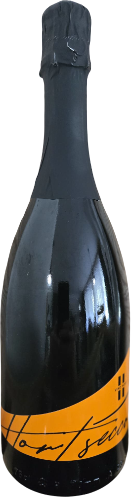 VINO HORT HORT Secco Brut 2024