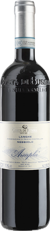 Costa di Bussia Langhe Nebbiolo 2022 DOC Costa di Bussia
