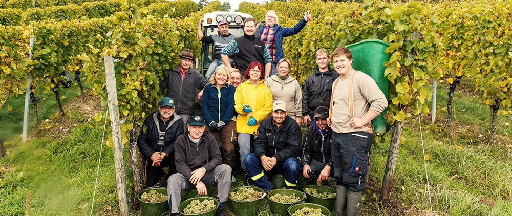 Weingut Hoffling